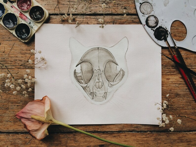 May include: A watercolor painting of a cat skull on a white background. The skull is drawn in shades of gray and brown, with details of the teeth and eye sockets visible. The painting is surrounded by white flowers and a wooden surface.