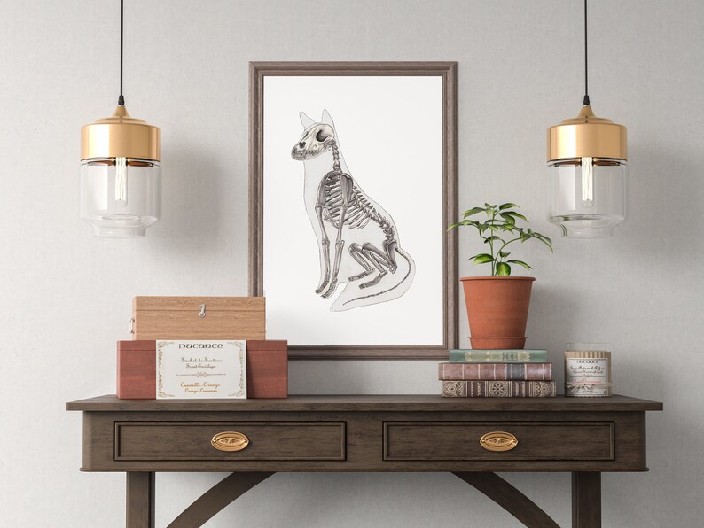 K&ouml;nnte beinhalten: Eine gerahmte Schwarzwei&szlig;illustration eines sitzenden Hundeskeletts auf wei&szlig;em Hintergrund. Der Rahmen ist braun und h&auml;ngt an einer wei&szlig;en Wand. Auf einem braunen Holztisch mit zwei Schubladen steht eine Holzkiste mit dem Etikett "DOG OFFICE" und eine kleine Topfpflanze.