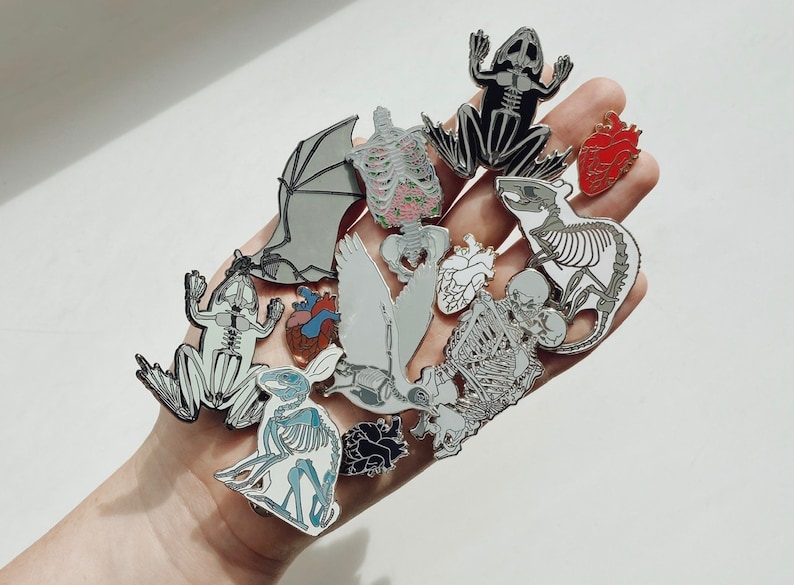 Puede incluir: Una colecci&oacute;n de pines de esmalte que representan esqueletos anat&oacute;micos de varios animales, incluyendo una rana, un murci&eacute;lago, un conejo, un p&aacute;jaro y una rata. Los pines son plateados y blancos con acentos rojos.