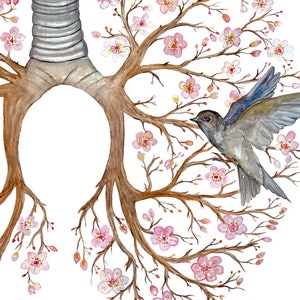 May include: Watercolor painting of a pair of lungs with a tree growing out of them. The tree has pink flowers and a small bird perched on a branch.