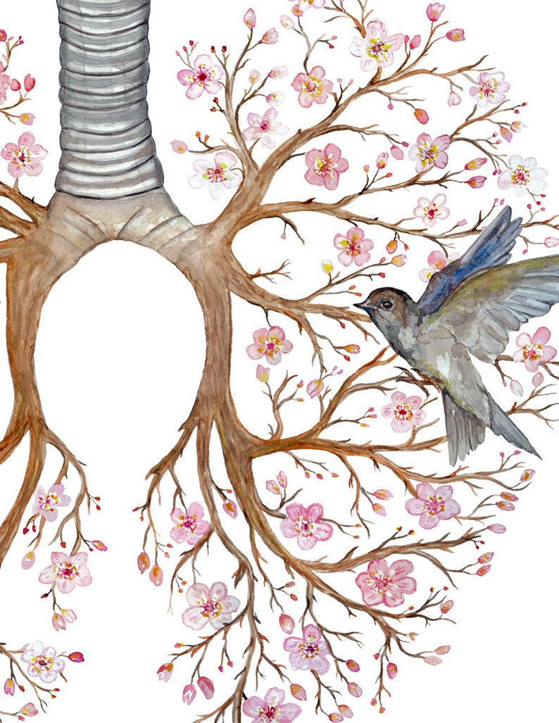 May include: Watercolor painting of a pair of lungs with a tree growing out of them. The tree has pink flowers and a small bird perched on a branch.