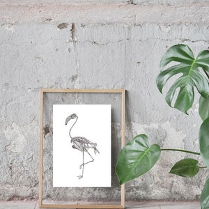 May include: A framed print of a flamingo skeleton in a standing pose. The print is on white paper and is framed in a light wood frame. The frame is sitting on a gray tiled floor.