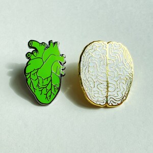 May include: Two enamel pins: a green anatomical heart with black outlines and a white brain with gold outlines. The pins are set against a light background. These pins are ideal for medical students or science enthusiasts.