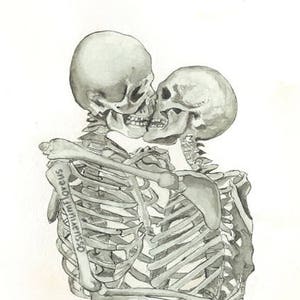 May include: A black and white drawing of two skeletons embracing and kissing. The skeletons are drawn in a realistic style, with visible bones and joints. The text "Ossiavulum Toreus" is written on the left side of the image.