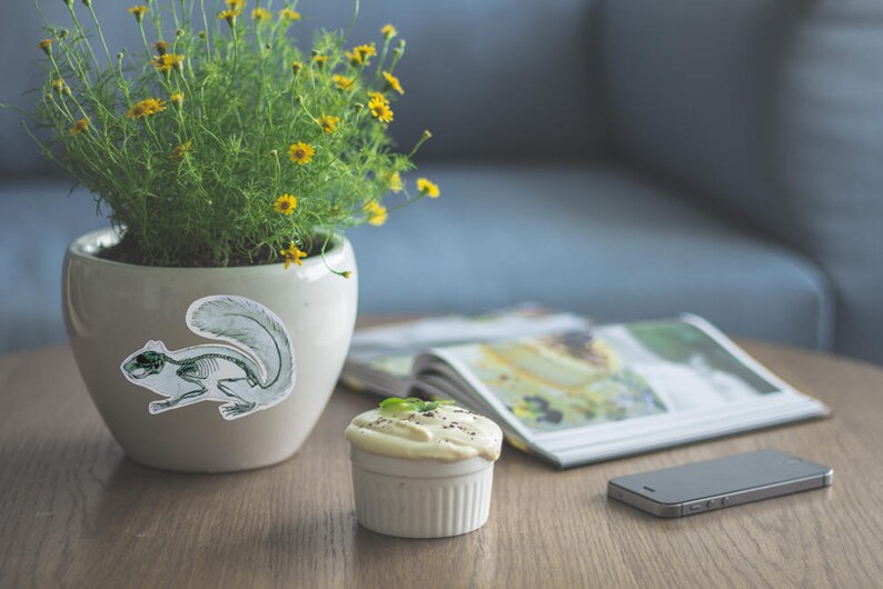 K&ouml;nnte beinhalten: Ein cremefarbener Keramiktopf mit einem Eichh&ouml;rnchen-Skelett-Aufkleber enth&auml;lt eine gr&uuml;ne Pflanze mit gelben Bl&uuml;ten. Ein kleiner wei&szlig;er Ramekin mit einem Dessert und ein Smartphone stehen auf einem Holztisch. Eine Zeitschrift ist im Hintergrund ge&ouml;ffnet.