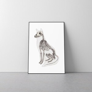 K&ouml;nnte beinhalten: Eine Schwarzwei&szlig;illustration eines sitzenden Hundeskeletts. Der Hund ist realistisch gezeichnet, mit sichtbaren Knochen und Gelenken.