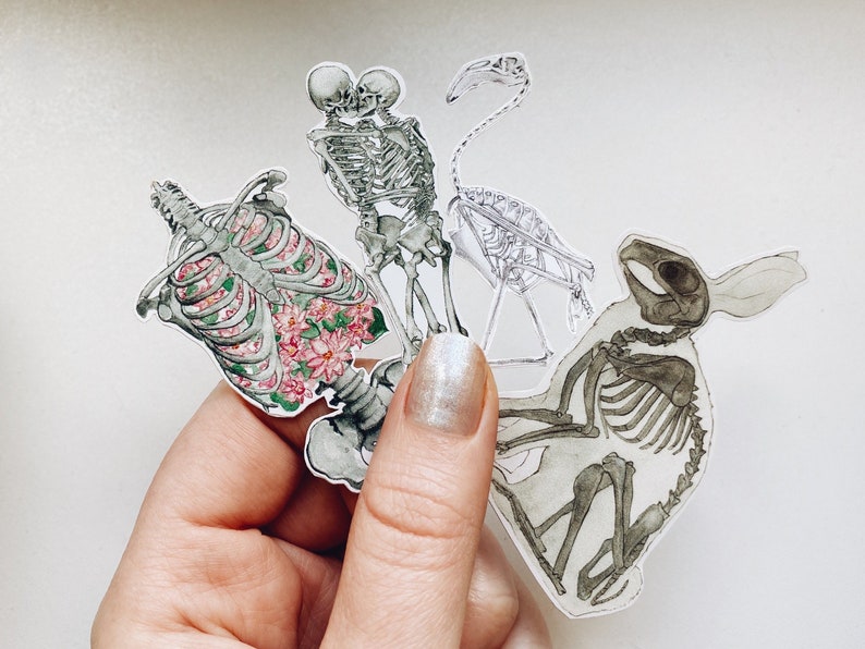 May include: Four skeleton illustrations on a white background. The skeletons are of a flamingo, a rabbit, and two human figures embracing. The human skeleton has pink flowers inside the rib cage.