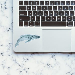Pode incluir: Um computador port&aacute;til branco com um teclado preto e um trackpad. Um adesivo de um esqueleto de baleia est&aacute; no trackpad.