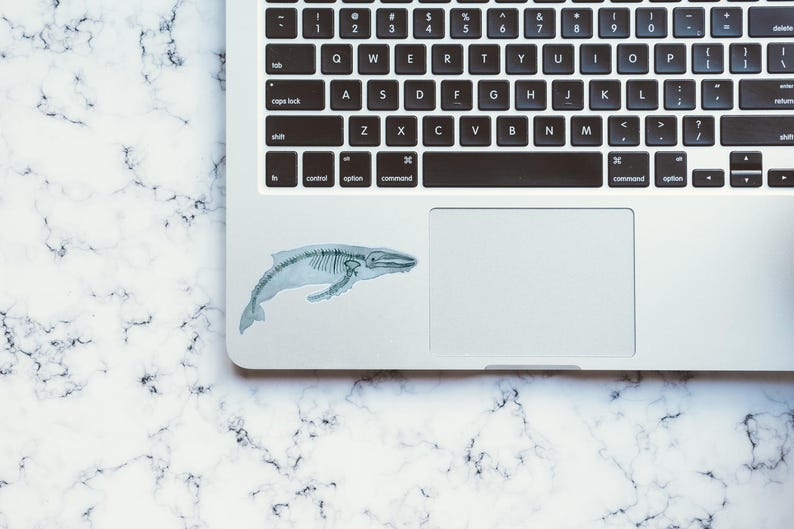 Pode incluir: Um computador port&aacute;til branco com um teclado preto e um trackpad. Um adesivo de um esqueleto de baleia est&aacute; no trackpad.