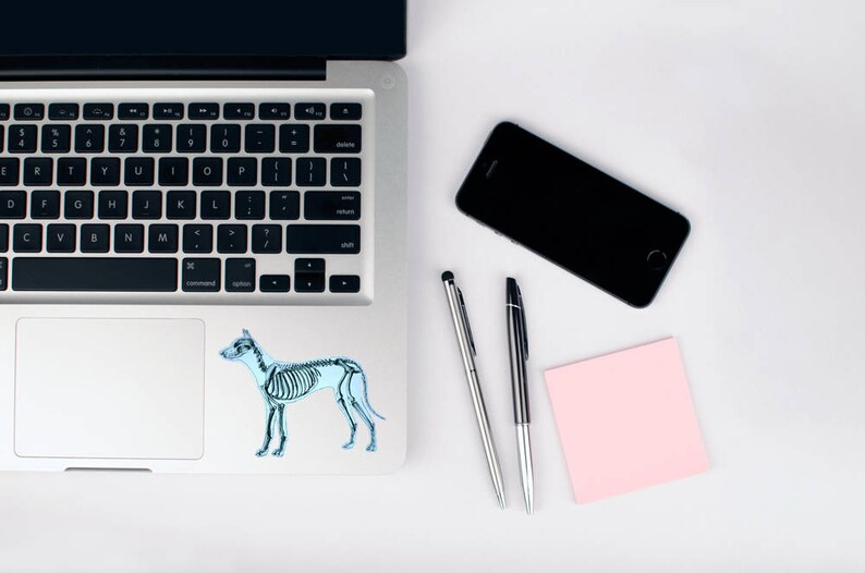 May include: A laptop with a black keyboard and a sticker of a dog skeleton. A black smartphone, two pens, and a pink sticky note are arranged on a white surface, creating a workspace scene.