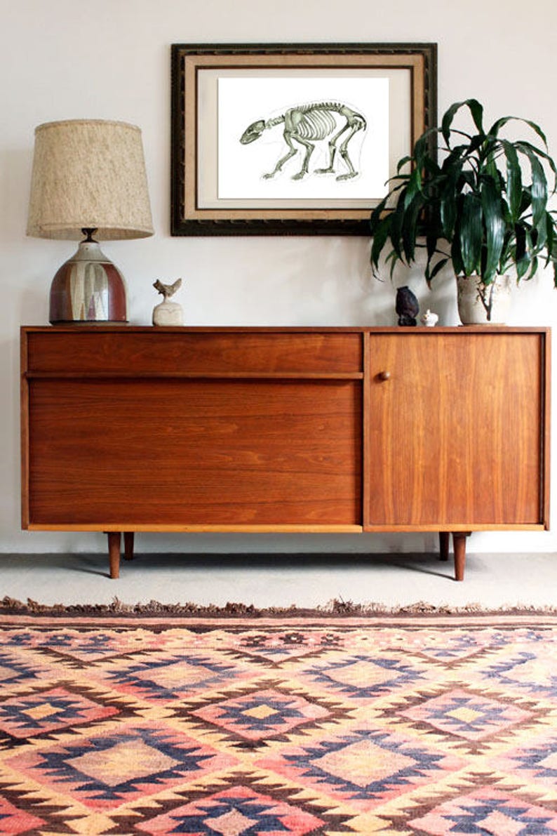 May include: A mid-century modern wooden cabinet with a single drawer and a door. The cabinet is sitting on a rug with a geometric pattern in shades of pink, blue, and brown. A framed print of a bear skeleton is hanging on the wall above the cabinet.