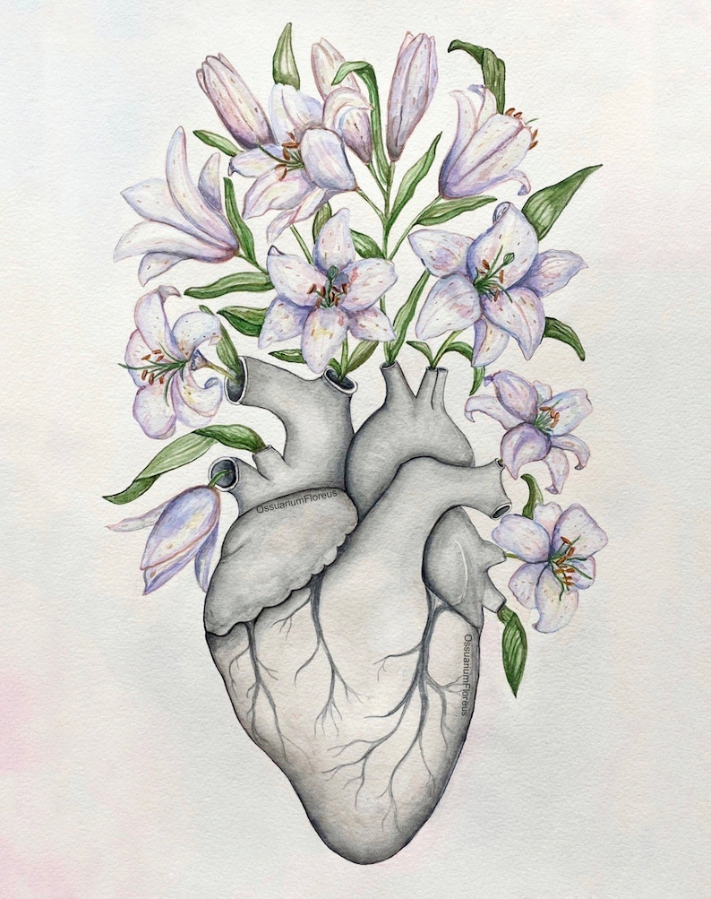 Anatomiskt hjärta med liljor akvarellmålning: Blommig läkarmottagningsdekor bild 2