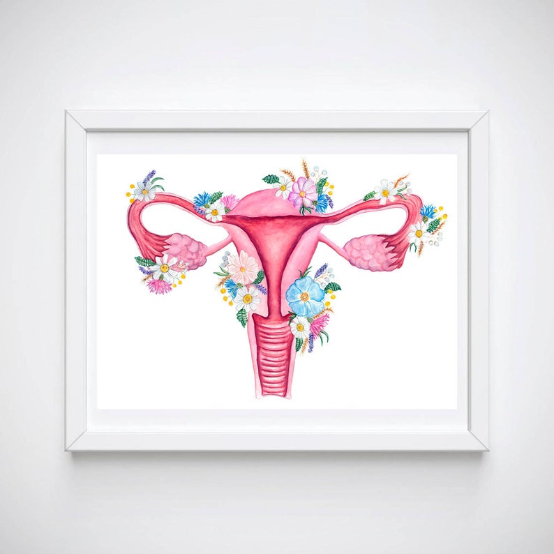 May include: A watercolor illustration of a female reproductive system with pink and red colors. The system is surrounded by colorful flowers, including pink, blue, and white.