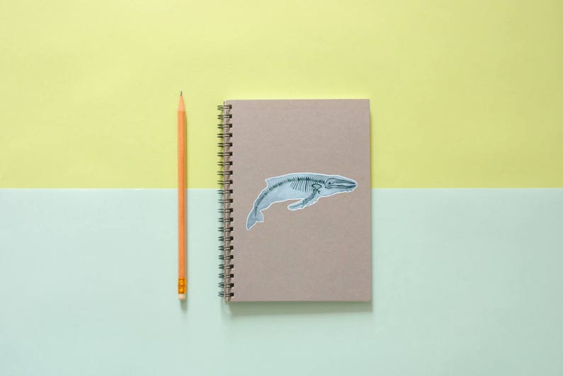 Pode incluir: Um caderno marrom com espiral e um adesivo de baleia na capa. Um l&aacute;pis amarelo est&aacute; ao lado do caderno em um fundo azul claro e amarelo.