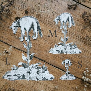 May include: Four grayscale stickers of a wolf-like creature atop a plant, each labeled with a size: S, M, and L. The stickers are on a wooden surface with dried flowers.
