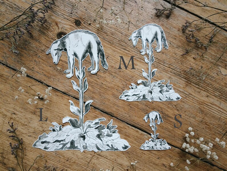 May include: Four grayscale stickers of a wolf-like creature atop a plant, each labeled with a size: S, M, and L. The stickers are on a wooden surface with dried flowers.