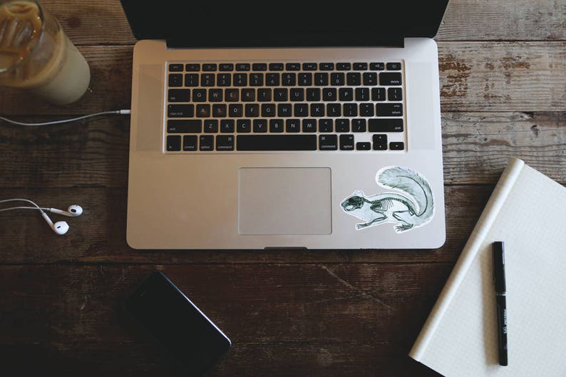 K&ouml;nnte beinhalten: Laptop mit Eichh&ouml;rnchen-Aufkleber, Notizbuch, Stift, Smartphone und einem Glas Eiskaffee auf einem Holztisch. Der Aufkleber zeigt eine detaillierte Illustration eines Eichh&ouml;rnchen-Skeletts.
