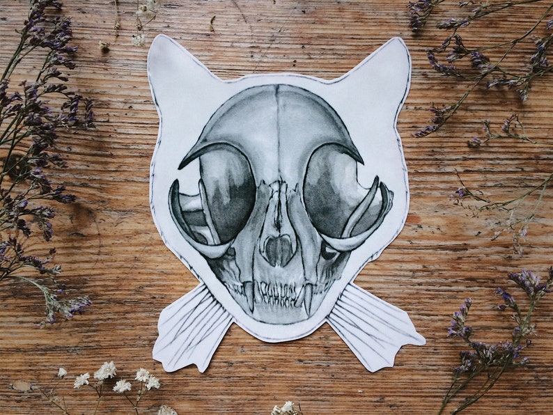 May include: A detailed black and white drawing of a cat skull with whiskers on a wooden surface.