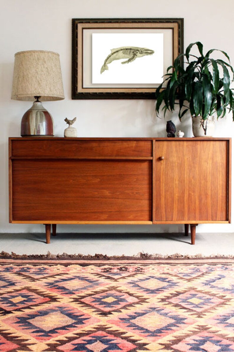 May include: A vintage-style wooden sideboard with a single drawer and a cabinet door. The sideboard is on a patterned rug with a geometric design in shades of pink, blue, and brown. A framed print of a whale skeleton is hanging on the wall above the sideboard.