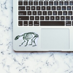 May include: A laptop computer with a white skeleton sticker of a bear on the trackpad.