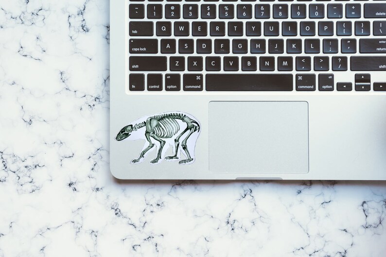 May include: A laptop computer with a white skeleton sticker of a bear on the trackpad.