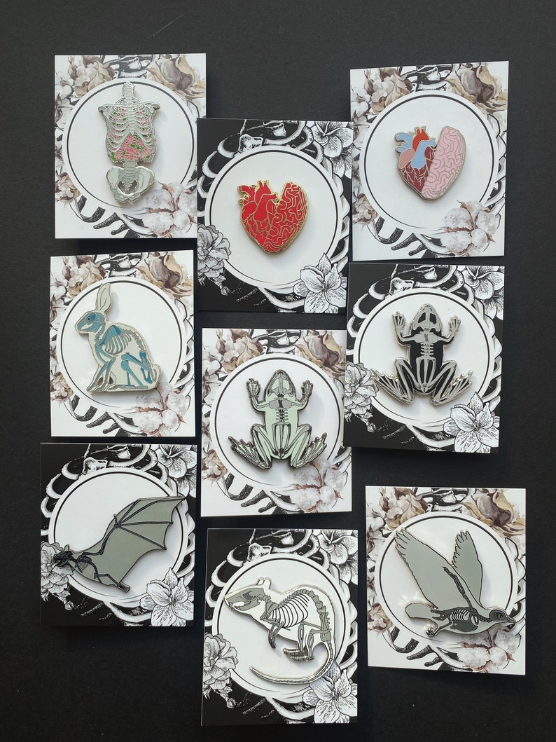 Puede incluir: Conjunto de 10 pines de esmalte con ilustraciones anat&oacute;micas de varios animales y &oacute;rganos. Los pines est&aacute;n en tarjetas blancas con dise&ntilde;os florales en blanco y negro. Los pines incluyen un coraz&oacute;n, un cerebro, una rana, un murci&eacute;lago, una rata, un conejo y un esqueleto humano.