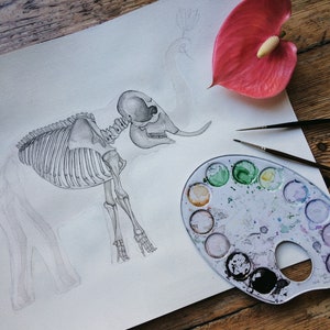 May include: A pencil drawing of an elephant skeleton on white paper with a watercolor palette, paintbrushes, and a pink flower.