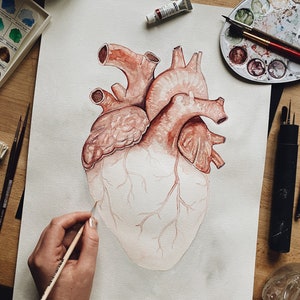 Puede incluir: Una pintura de acuarela de un coraz&oacute;n humano con detalles anat&oacute;micos. El coraz&oacute;n est&aacute; pintado en tonos de rojo y marr&oacute;n, con delicadas venas y arterias visibles. La pintura est&aacute; sobre un fondo blanco y est&aacute; siendo trabajada por un artista.