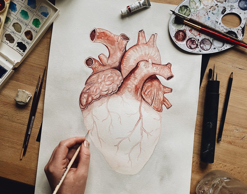 Puede incluir: Una pintura de acuarela de un coraz&oacute;n humano con detalles anat&oacute;micos. El coraz&oacute;n est&aacute; pintado en tonos de rojo y marr&oacute;n, con delicadas venas y arterias visibles. La pintura est&aacute; sobre un fondo blanco y est&aacute; siendo trabajada por un artista.