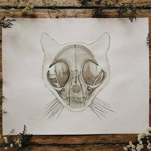 Original Cat Skull Watercolor Painting: Kitty Skeleton Anatomy Artwork image 3