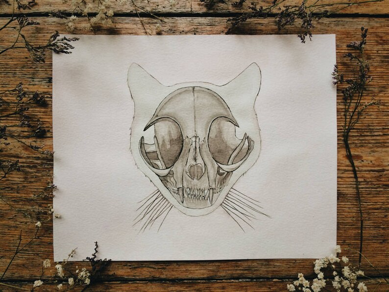 Original Cat Skull Watercolor Painting: Kitty Skeleton Anatomy Artwork image 3