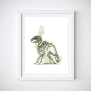 May include: A framed print featuring a watercolor illustration of a rabbit skeleton. The artwork is in grayscale, with the skeletal structure detailed against a white background. The frame is white.