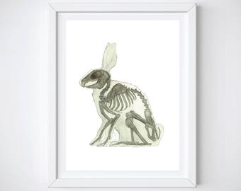 May include: A framed print featuring a watercolor illustration of a rabbit skeleton. The artwork is in grayscale, with the skeletal structure detailed against a white background. The frame is white.