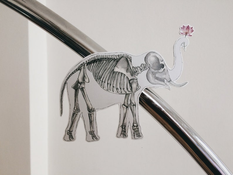 May include: A black and white illustration of an elephant skeleton with a pink lotus flower on top of its head. The illustration is on a white background.