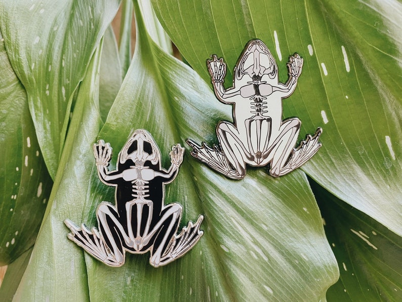 Op de afbeelding: Twee zilveren kikker skelet pinnen op een groene bladeren achtergrond. De kikker skeletten zijn gedetailleerd en hebben een zwarte omtrek.