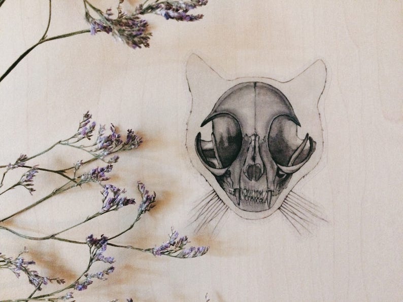 May include: A black and white drawing of a cat skull on a light beige background. The skull is detailed with teeth and eye sockets. A sprig of dried flowers is in the top left corner of the image.