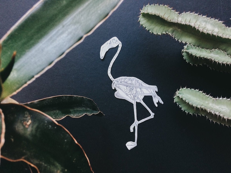 Peut inclure: Un dessin au trait noir et blanc d'un squelette de flamant rose sur fond noir. Le flamant rose se tient sur une seule patte, les ailes repli&eacute;es. Il y a des plantes vertes en arri&egrave;re-plan.
