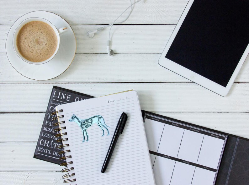 May include: A top-down view of a workspace with a cup of coffee, a notebook with a dog skeleton illustration, a pen, a tablet, and earbuds. The items are arranged on a white wooden surface.