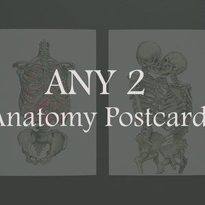 Conjunto de QUALQUER 2 cartões postais de anatomia: aquarela para estudante, cartão vintage de casamento, beijo, amor, esqueleto, costelas, coluna floral, pulmões, coração, cérebro