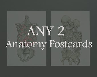 Set of ANY 2 Anatomy Postcard: Watercolor for Student, Wedding Vintage Card, Kiss Love Skeleton Ribs Floral Spine Lungs Heart Brain
