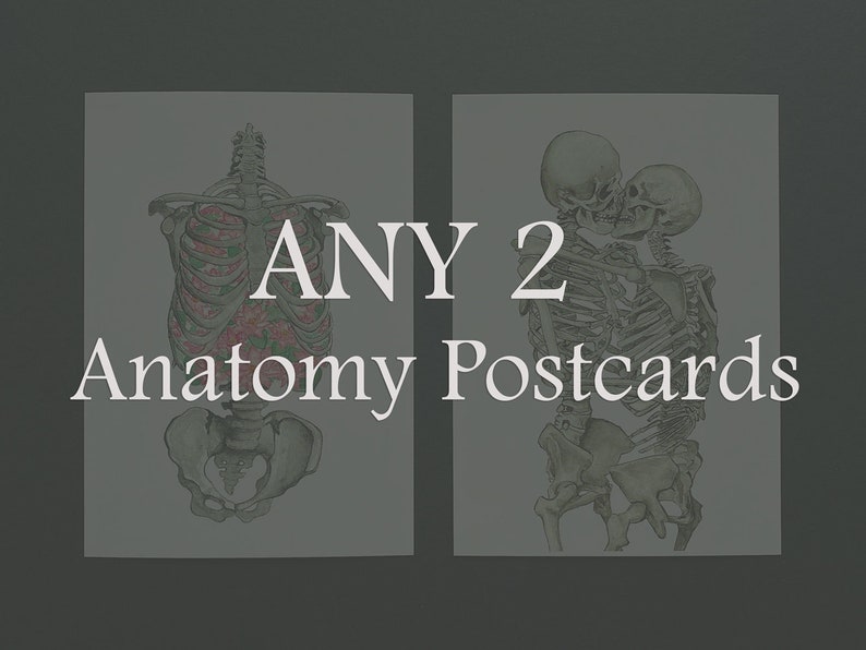 May include: Two anatomical postcards featuring skeletal illustrations. The first postcard shows a human skeleton with floral details in the ribcage. The second postcard shows two skeletons embracing. The text "ANY 2 Anatomy Postcards" is printed on the image.