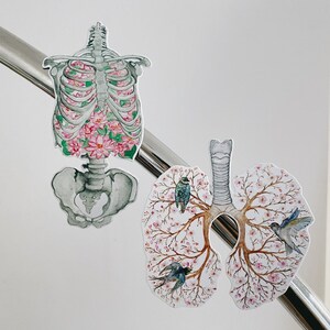 May include: Two anatomical illustrations of the human rib cage and lungs. The rib cage is depicted as a skeletal structure with pink flowers growing inside. The lungs are depicted as a tree with pink flowers and small blue birds perched on the branches.