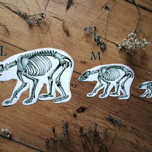 May include: Three black and white skeleton bear illustrations on a wood background. The bears are labeled 'L', 'M', and 'S' for size.
