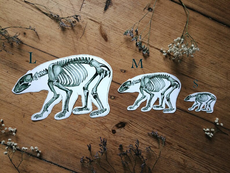 May include: Three black and white skeleton bear illustrations on a wood background. The bears are labeled 'L', 'M', and 'S' for size.