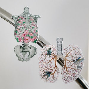 May include: Two anatomical illustrations of the human rib cage and lungs. The rib cage is depicted as a skeletal structure with pink flowers blooming inside. The lungs are depicted as a tree with pink flowers and small blue birds perched on the branches.