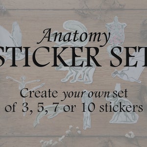 Custom Anatomy Sticker Set: Human Animal Anatomical Skeleton, Medical Doctor Science Biology Halloween Gift image 1
