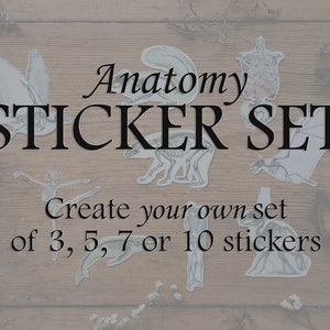 Pode incluir: Um conjunto de adesivos anatômicos com vários esqueletos de animais e ilustrações de anatomia humana. O texto na imagem diz "Anatomy Sticker Set Create your own set of 3, 5, 7 or 10 stickers".