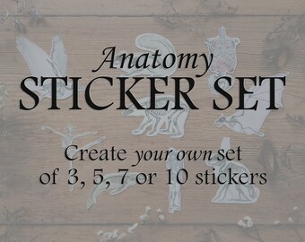 Custom Anatomy Sticker Set: Human Animal Anatomical Skeleton, Medical Doctor Science Biology Halloween Gift