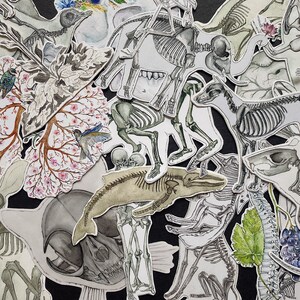 May include: A collection of watercolor illustrations featuring various animal skeletons, including a whale, a bird, a dog, and a cat. The illustrations are on a black background and are surrounded by flowers and leaves.