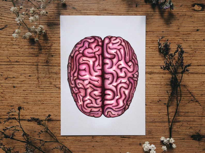 Brain Anatomy Postcard: Anatomical Card, Unique Medical Watercolor Human Illustration image 1